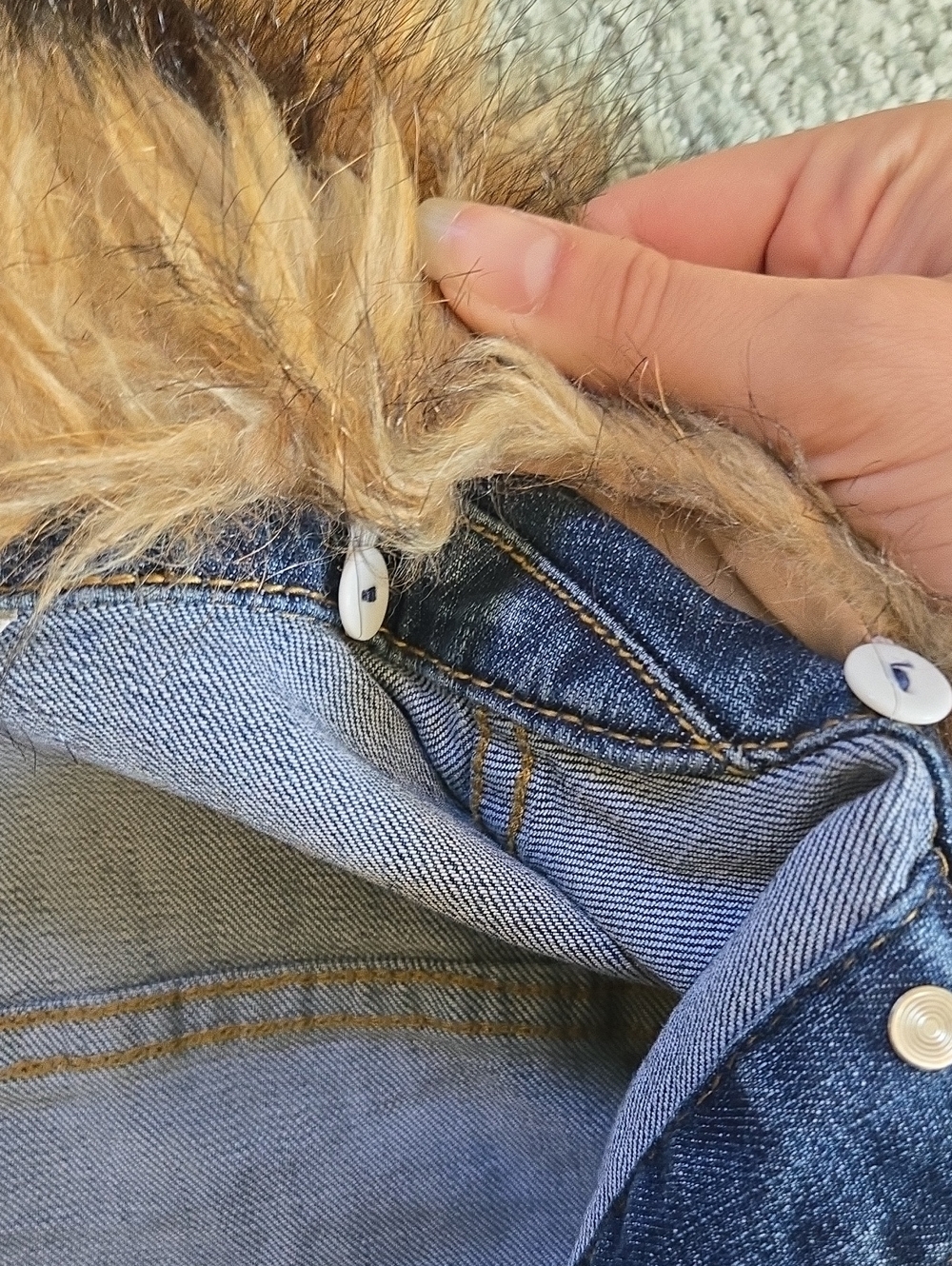 Denim Jacket - Picture 7 of 12